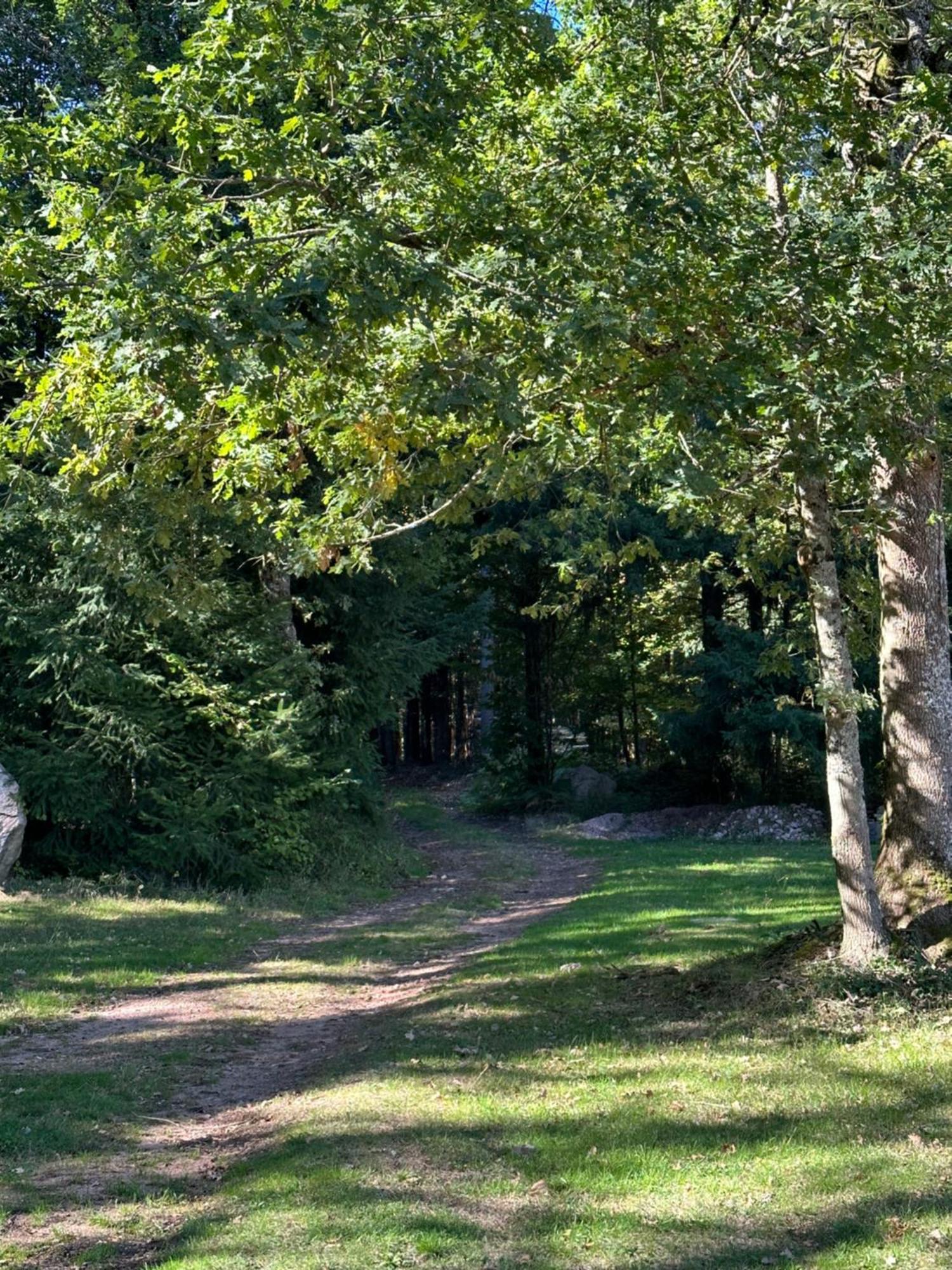 Du Cote De Chez Sam Hotel Andelaroche Bagian luar foto