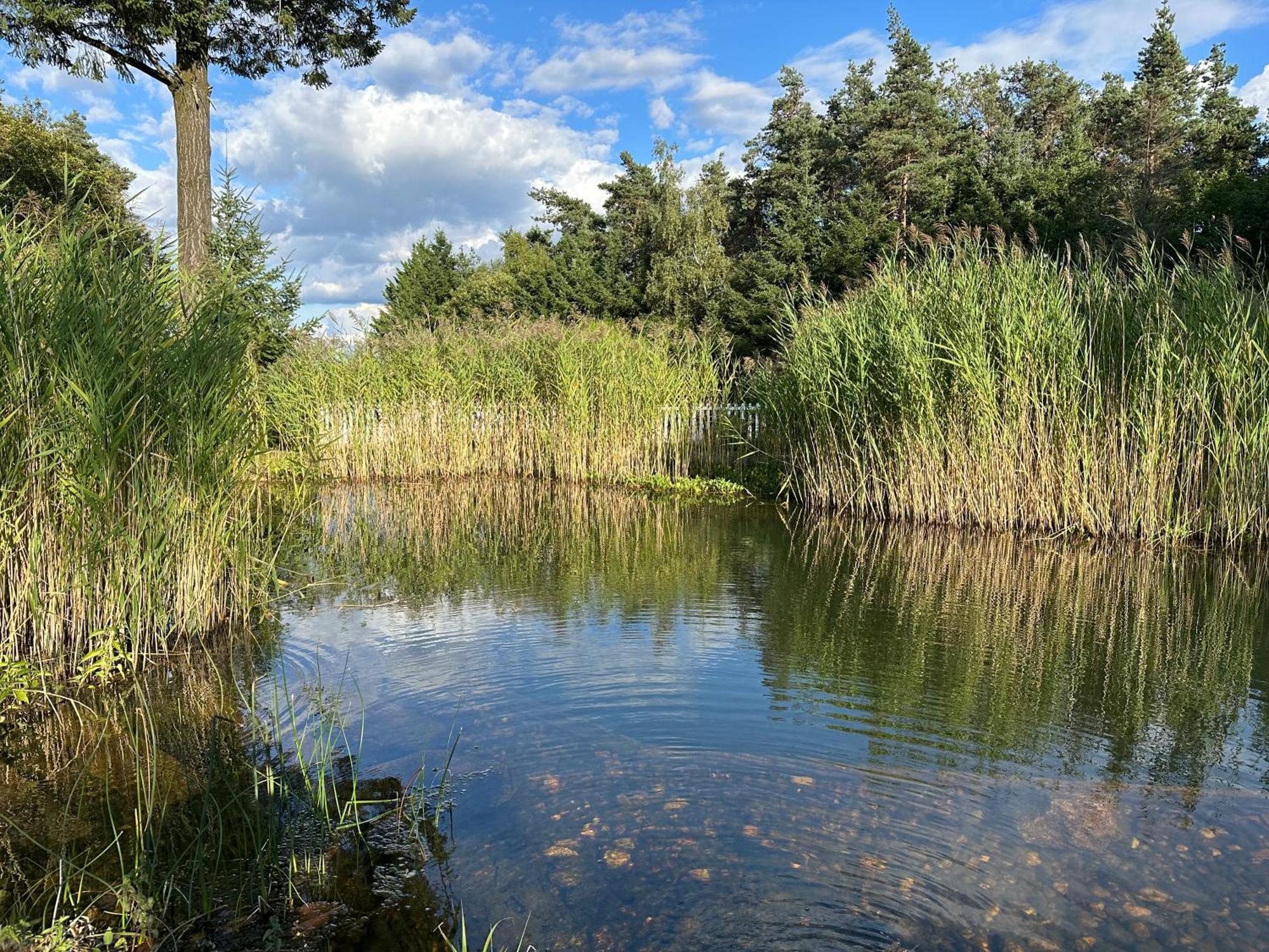 Du Cote De Chez Sam Hotel Andelaroche Bagian luar foto